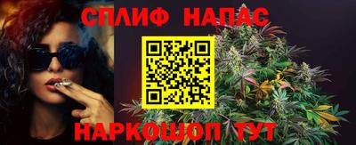 хмурый Бийск